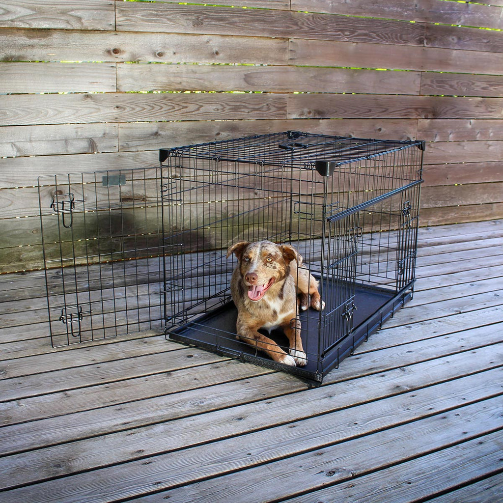 Lucky Dog Dwell™ Series Crates