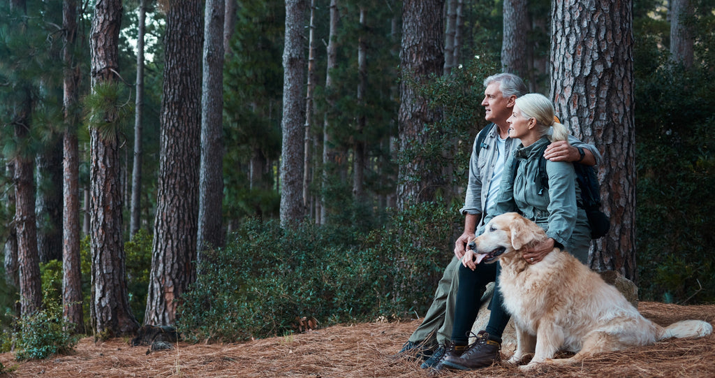 Couple in forest with their dog.