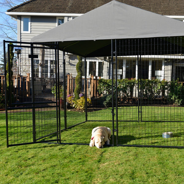 Lucky Dog STAY Series 10 L x 10 W Presidential Kennel