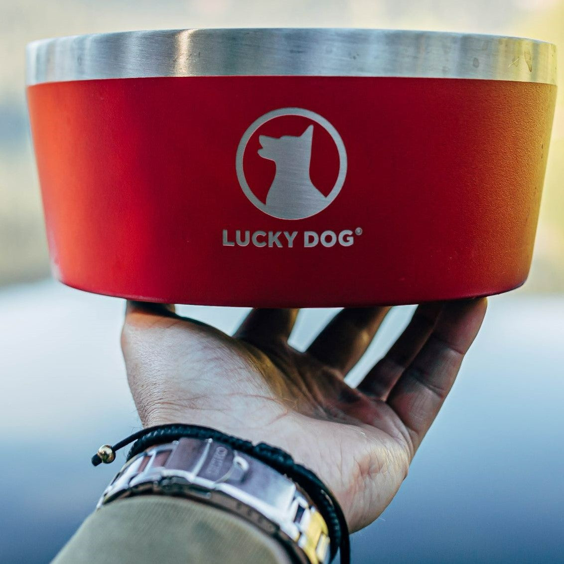 Lucky Dog® Double Fixed Position Food & Water Kennel Dog Bowls –  luckydogdirect