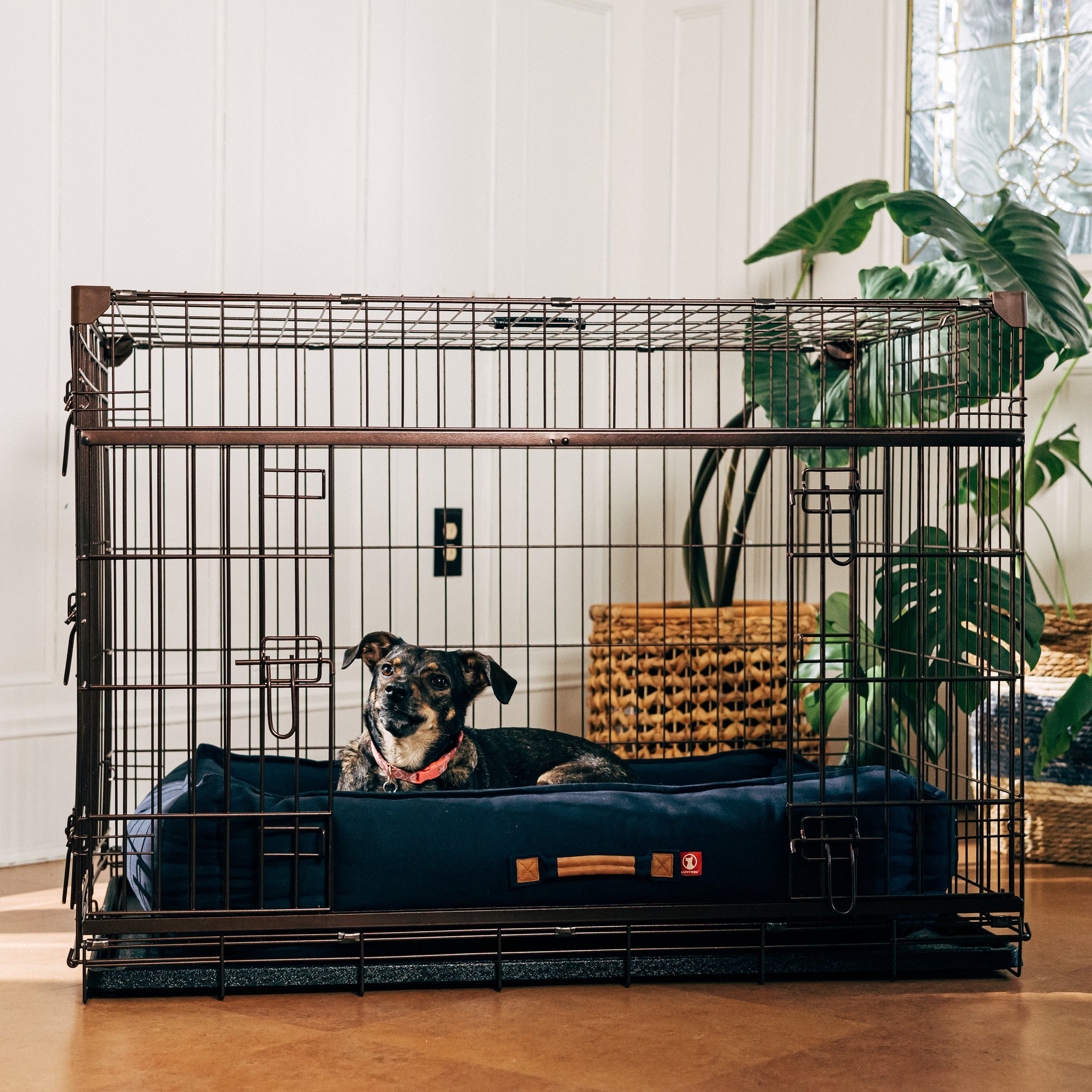 Pet supply plus dog crates best sale