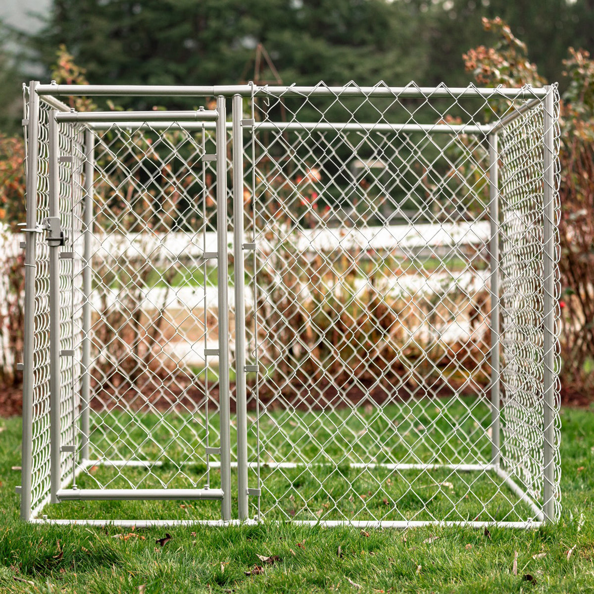 Lucky Dog® 5’ x 5’ Chain Link Kennel DIY Kit Studio – luckydogdirect