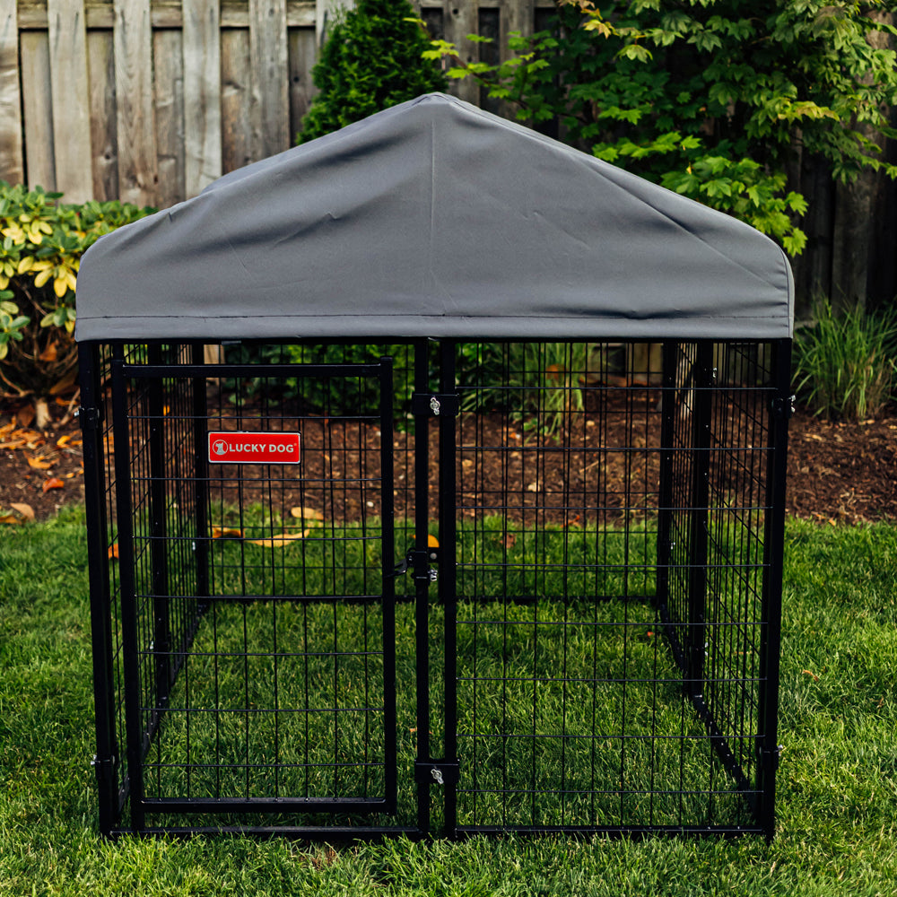Lifestyle of Lucky Dog® STAY Series® 4'L x 4'W x 4'4''H Studio Jr. Kennel