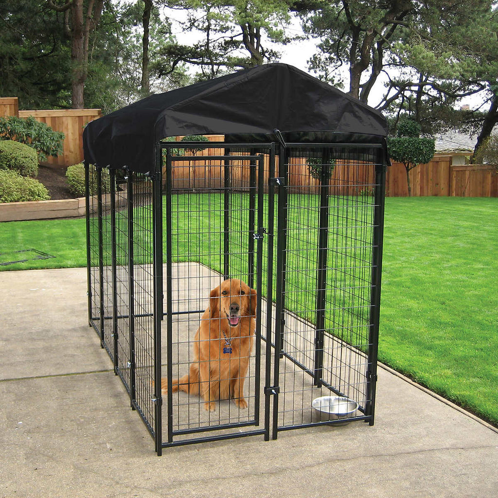 Lifestyle of Lucky Dog® Uptown Dog Kennel with Cover with dog in it