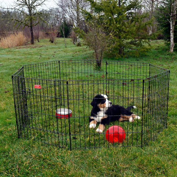 Pet lodge exercise pen best sale